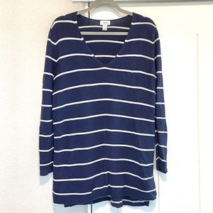 Lightweight V-Neck Navy Striped Sweater
